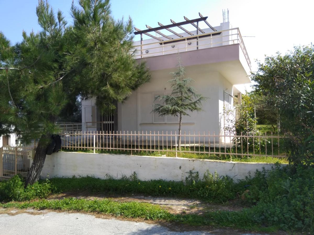 Thanasis Villa Kounoupidhianá Exterior foto